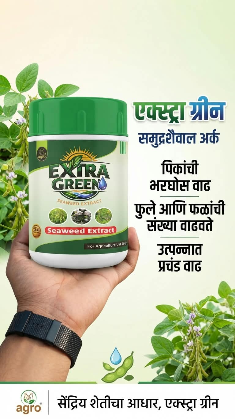 Allium G liquid crop nutrient by SM Agro Traders